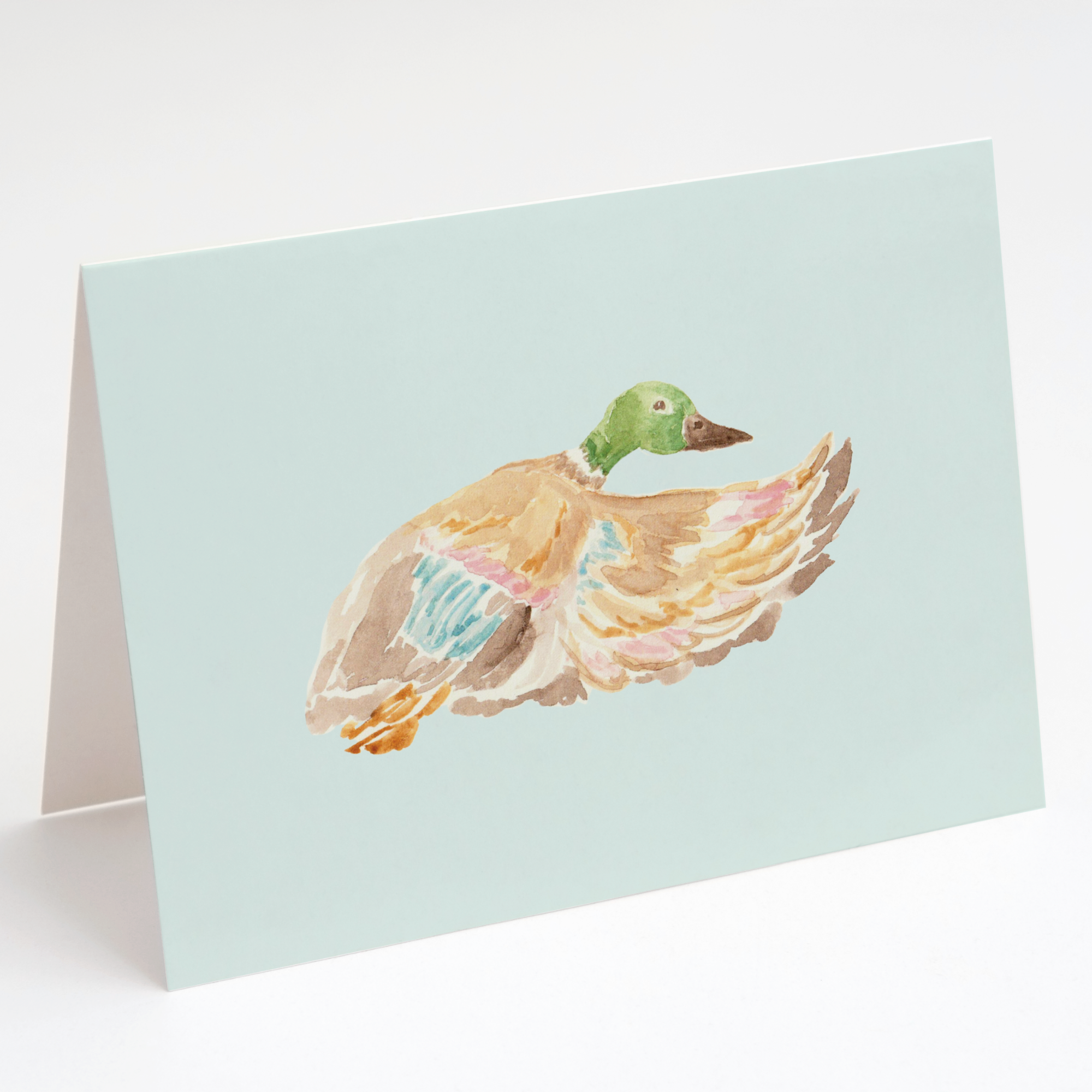 Duck Greeting Card